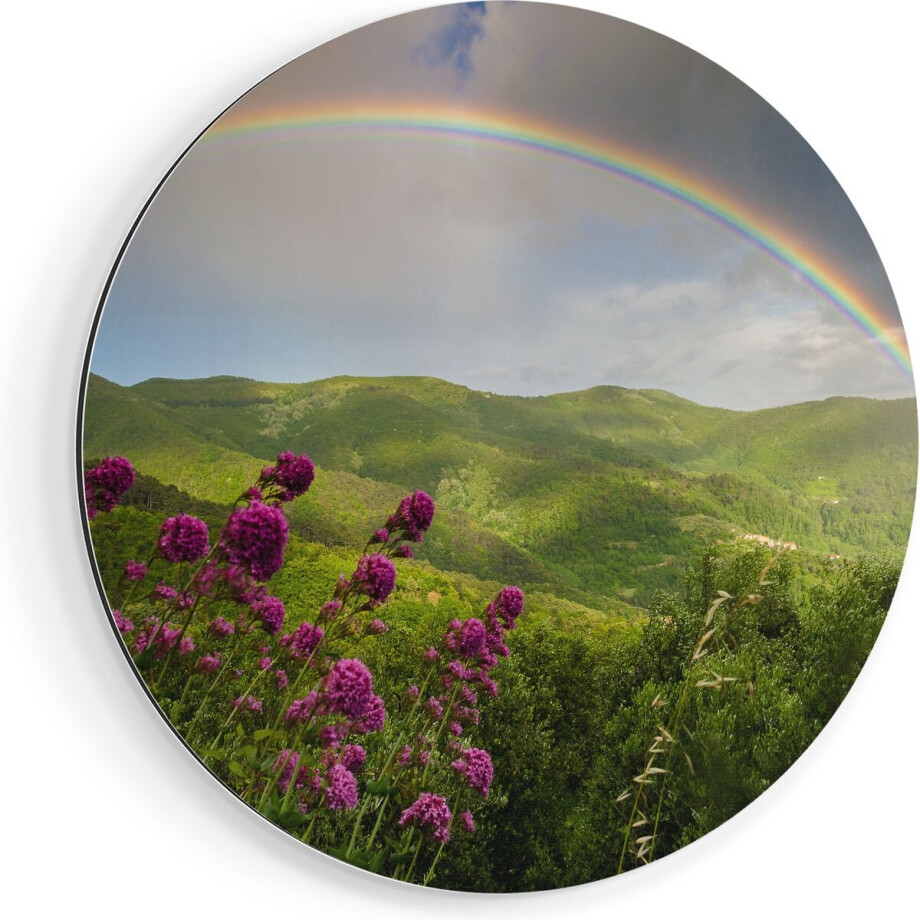 Artaza Dibond Muurcirkel Regenboog in de Heuvel Bossen - Ø 70 cm - Wandcirkel - Rond Schilderij - Voor Binnen en Buiten Artaza Dibond Muurcirkel Regenboog in de Heuvel Bossen - Ø 70 cm - Wandcirkel - Rond Schilderij - Voor Binnen en Buiten afbeelding 1