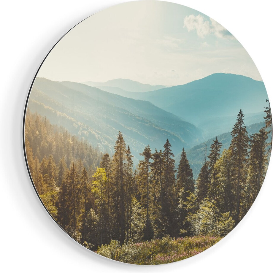 Artaza Dibond Muurcirkel Bos Met Bomen In De Hoge Bergen - Ø 80 cm - Groot - Wandcirkel - Rond Schilderij - Voor Binnen en Buiten afbeelding 1