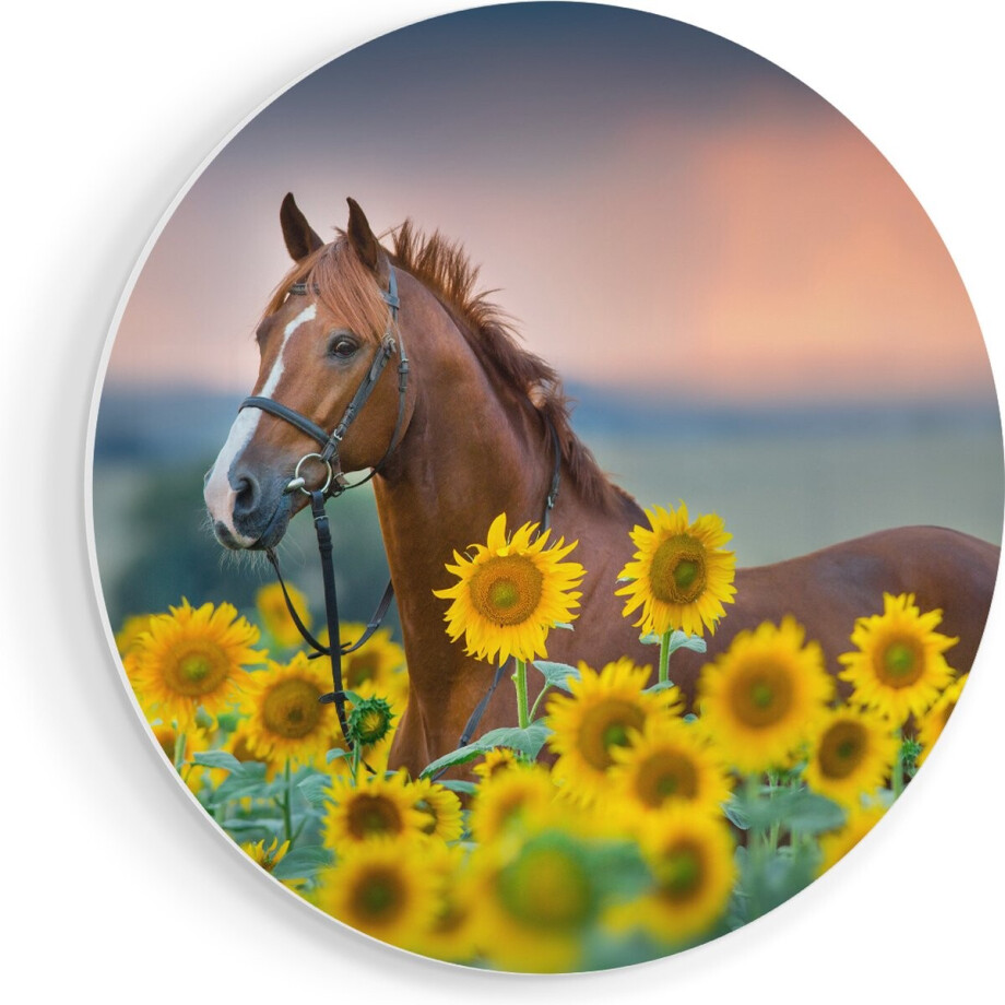 Artaza Forex Muurcirkel Bruin Paard Tussen De Zonnebloemen - 90x90 cm - Groot - Wandcirkel - Rond Schilderij - Muurdecoratie Cirkel Artaza Forex Muurcirkel Bruin Paard Tussen De Zonnebloemen - 90x90 cm - Groot - Wandcirkel - Rond Schilderij - Muurdecoratie Cirkel afbeelding 1