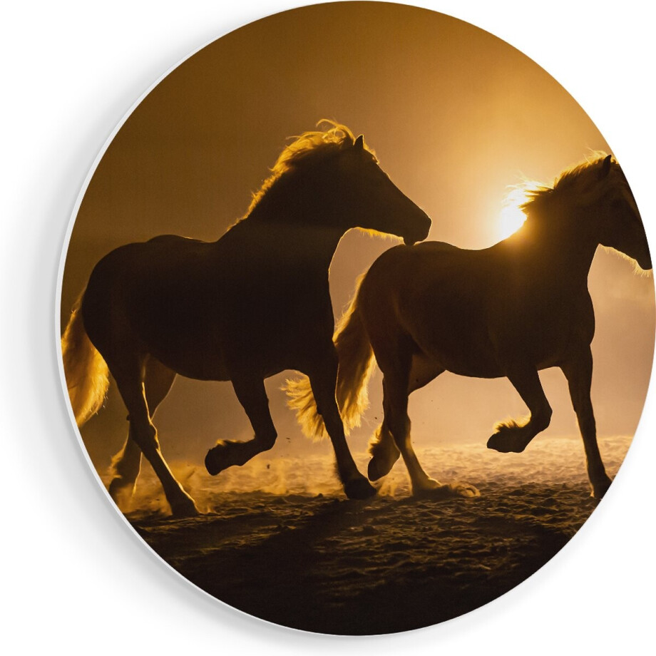 Artaza Forex Muurcirkel Silhouet Van Twee Paarden - 80x80 cm - Groot - Wandcirkel - Rond Schilderij - Wanddecoratie Cirkel afbeelding 1
