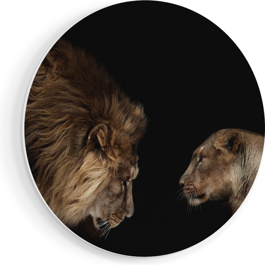 Artaza Forex Muurcirkel Leeuw En Leeuwin - 40x40 cm - Klein - Wandcirkel - Rond Schilderij - Wanddecoratie Cirkel afbeelding 1