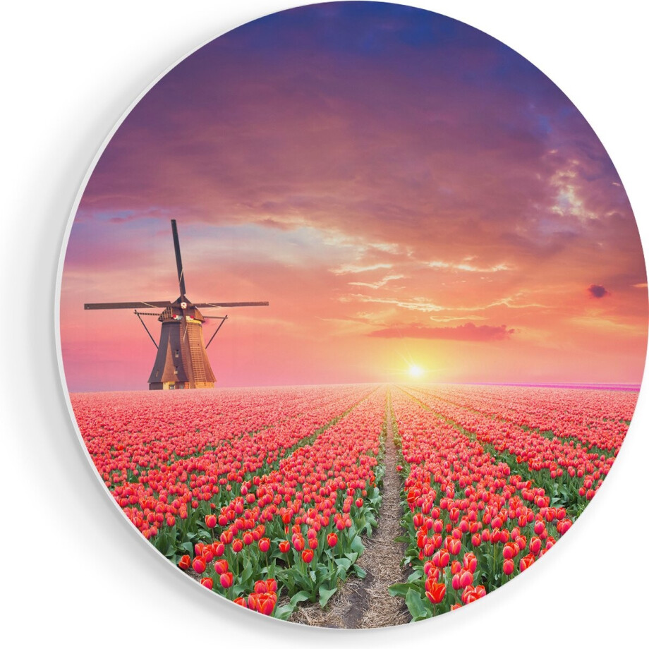 Artaza Forex Muurcirkel Rode Rozen Bloemenveld Met Een Windmolen - 40x40 cm - Klein - Wandcirkel - Rond Schilderij - Wanddecoratie Cirkel afbeelding 1