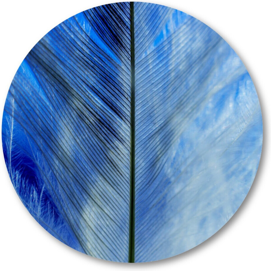 Veren close-up - Muurcirkel Forex 60cm - Wandcirkel voor binnen - Besteposter - Dieren - Natuur Veren close-up - Muurcirkel Forex 60cm - Wandcirkel voor binnen - Besteposter - Dieren - Natuur afbeelding 1