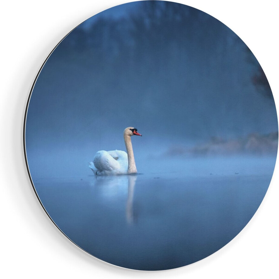 Artaza Dibond Muurcirkel Zwaan op het Water tussen de Mist - Ø 70 cm - Wandcirkel - Rond Schilderij - Voor Binnen en Buiten afbeelding 1