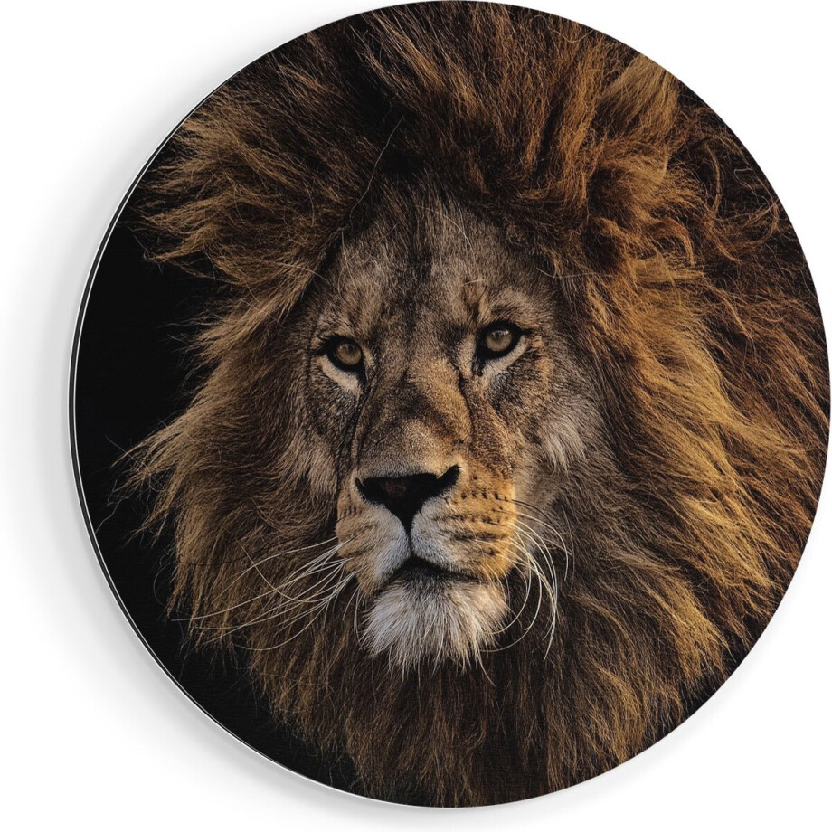 Artaza Dibond Muurcirkel Leeuw - Leeuwenkop - Ø 40 cm - Klein - Wandcirkel - Rond Schilderij - Voor Binnen en Buiten afbeelding 1