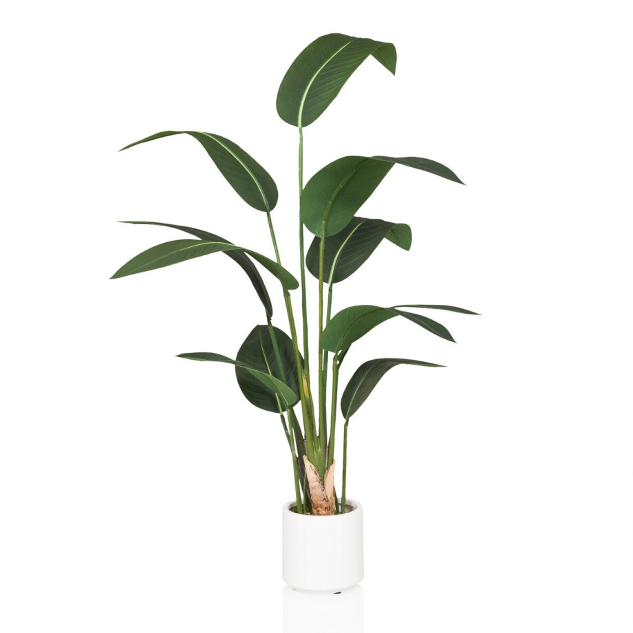Kunstplant STRELITZIA Groen hjh OFFICE afbeelding 1