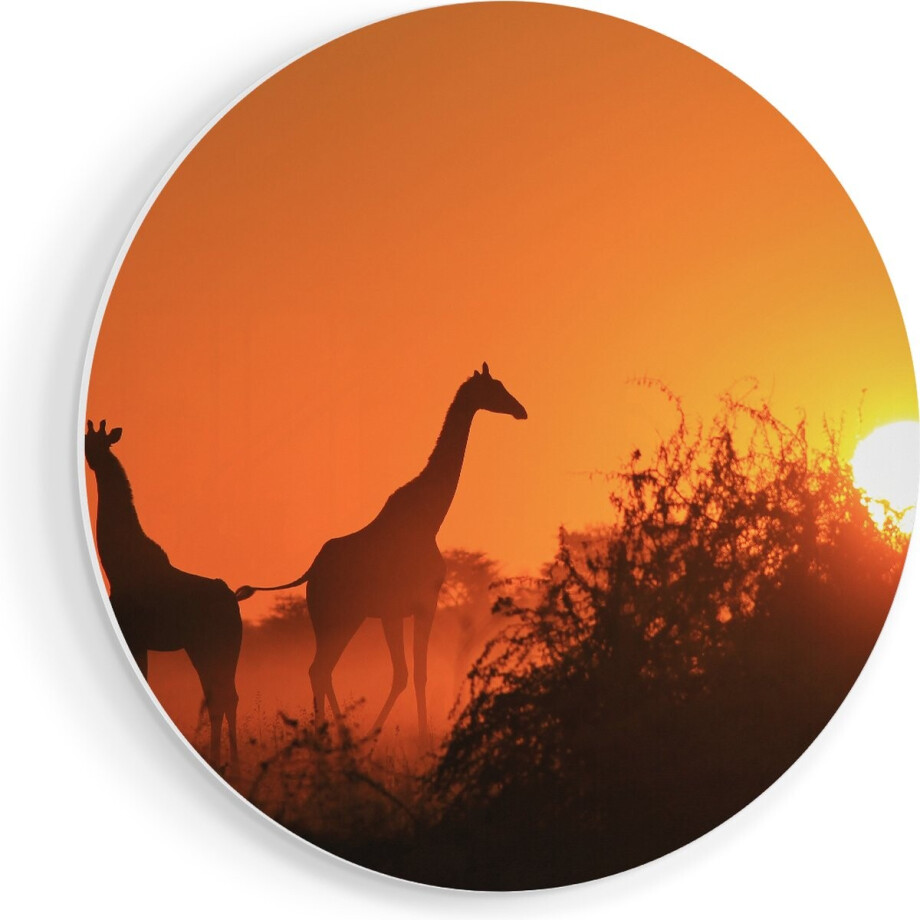 Artaza Forex Muurcirkel Drie Giraffe Silhouetten Bij Zonsondergang - 90x90 cm - Groot - Wandcirkel - Rond Schilderij - Muurdecoratie Cirkel Artaza Forex Muurcirkel Drie Giraffe Silhouetten Bij Zonsondergang - 90x90 cm - Groot - Wandcirkel - Rond Schilderij - Muurdecoratie Cirkel afbeelding 1