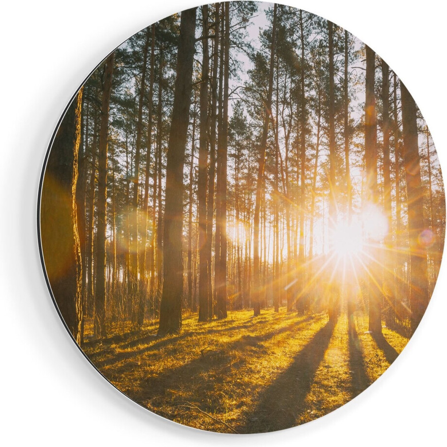 Artaza Dibond Muurcirkel Zonsopkomst In Het Bos Tussen De Bomen - Ø 70 cm - Wandcirkel - Rond Schilderij - Voor Binnen en Buiten Artaza Dibond Muurcirkel Zonsopkomst In Het Bos Tussen De Bomen - Ø 70 cm - Wandcirkel - Rond Schilderij - Voor Binnen en Buiten afbeelding 1