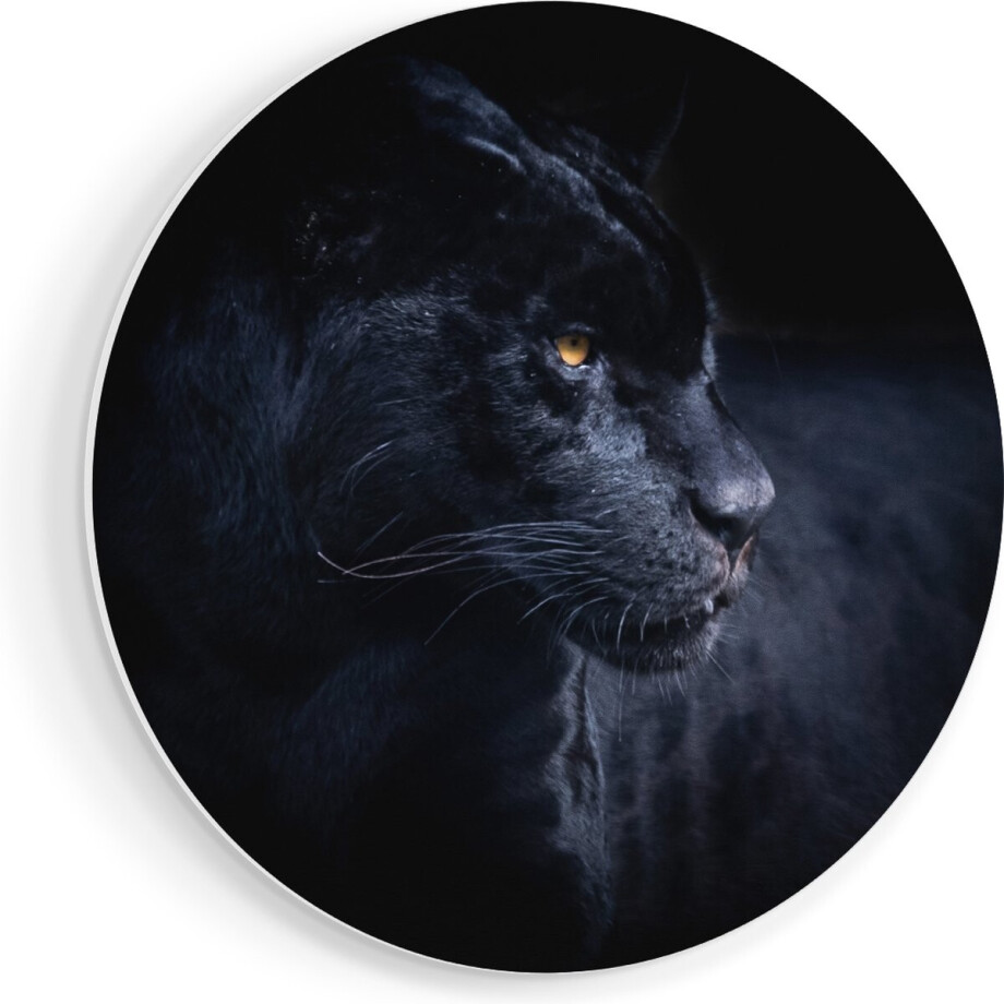 Artaza Forex Muurcirkel Zwarte Panter - 80x80 cm - Groot - Wandcirkel - Rond Schilderij - Wanddecoratie Cirkel Artaza Forex Muurcirkel Zwarte Panter - 80x80 cm - Groot - Wandcirkel - Rond Schilderij - Wanddecoratie Cirkel afbeelding 1