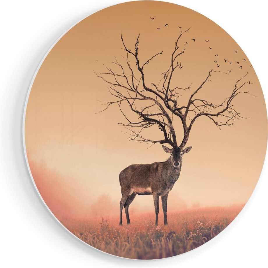 Artaza Forex Muurcirkel Hert Met Een Bomen Gewei - 50x50 cm - Klein - Wandcirkel - Rond Schilderij - Muurdecoratie Cirkel afbeelding 1