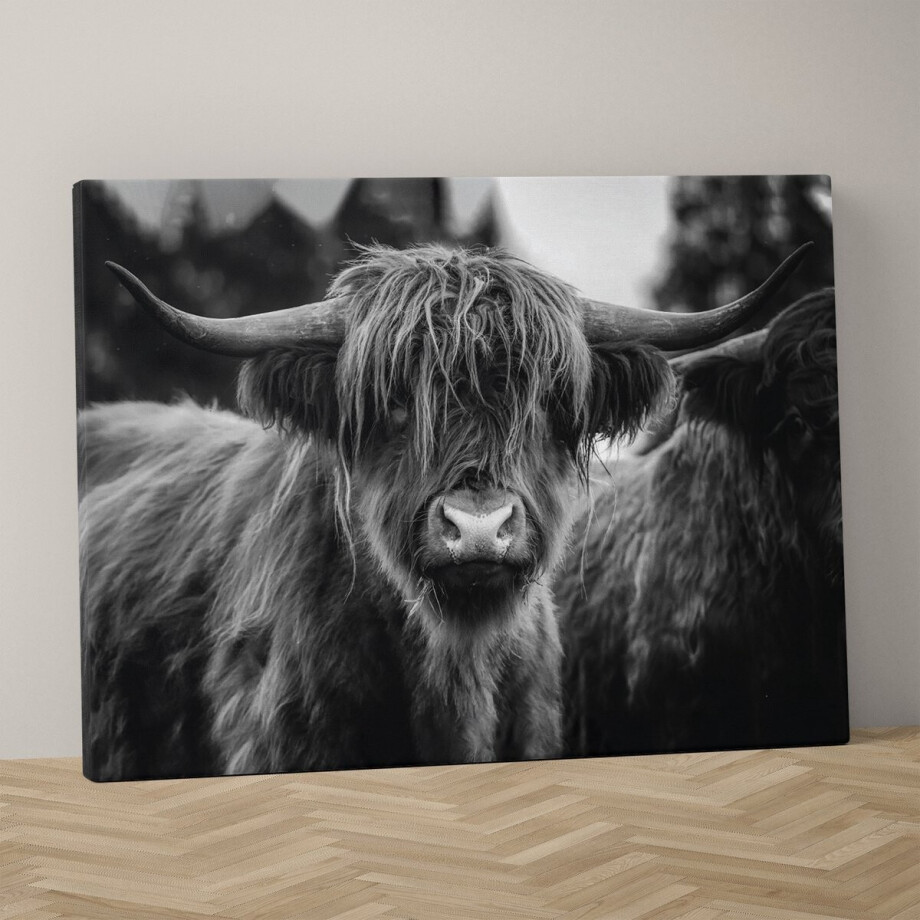 Schotse hooglander op canvas, 90x60cm in zwart wit inclusief ophangsysteem - Schotse hooglander schilderij - Schotse hooglander canvas - Schotse hooglander zwart wit - Zwart wit schilderijen - Schilderij - Muurdecoratie - Wanddecoratie Schotse hooglander op canvas, 90x60cm in zwart wit inclusief ophangsysteem - Schotse hooglander schilderij - Schotse hooglander canvas - Schotse hooglander zwart wit - Zwart wit schilderijen - Schilderij - Muurdecoratie - Wanddecoratie afbeelding 1