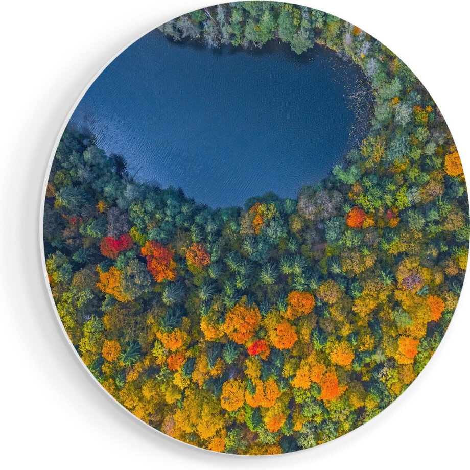 Artaza Forex Muurcirkel Kleurrijke Bos Met Bomen Naast Een Meer - 80x80 cm - Groot - Wandcirkel - Rond Schilderij - Wanddecoratie Cirkel Artaza Forex Muurcirkel Kleurrijke Bos Met Bomen Naast Een Meer - 80x80 cm - Groot - Wandcirkel - Rond Schilderij - Wanddecoratie Cirkel afbeelding 1