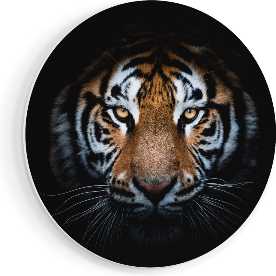 Artaza Forex Muurcirkel Tijger Op Zwart Achtergrond - 80x80 cm - Groot - Wandcirkel - Rond Schilderij - Wanddecoratie Cirkel afbeelding 1