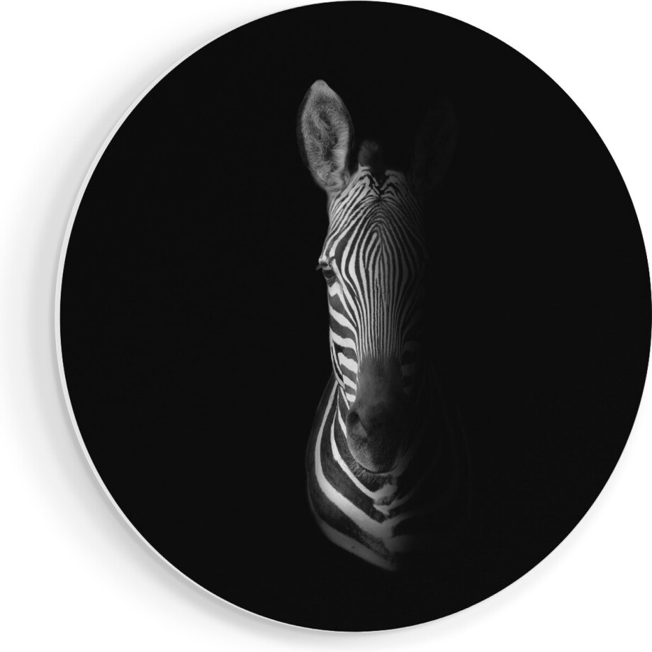 Artaza Forex Muurcirkel Halve Zebra - Zwart Wit - 90x90 cm - Groot - Wandcirkel - Rond Schilderij - Muurdecoratie Cirkel afbeelding 1