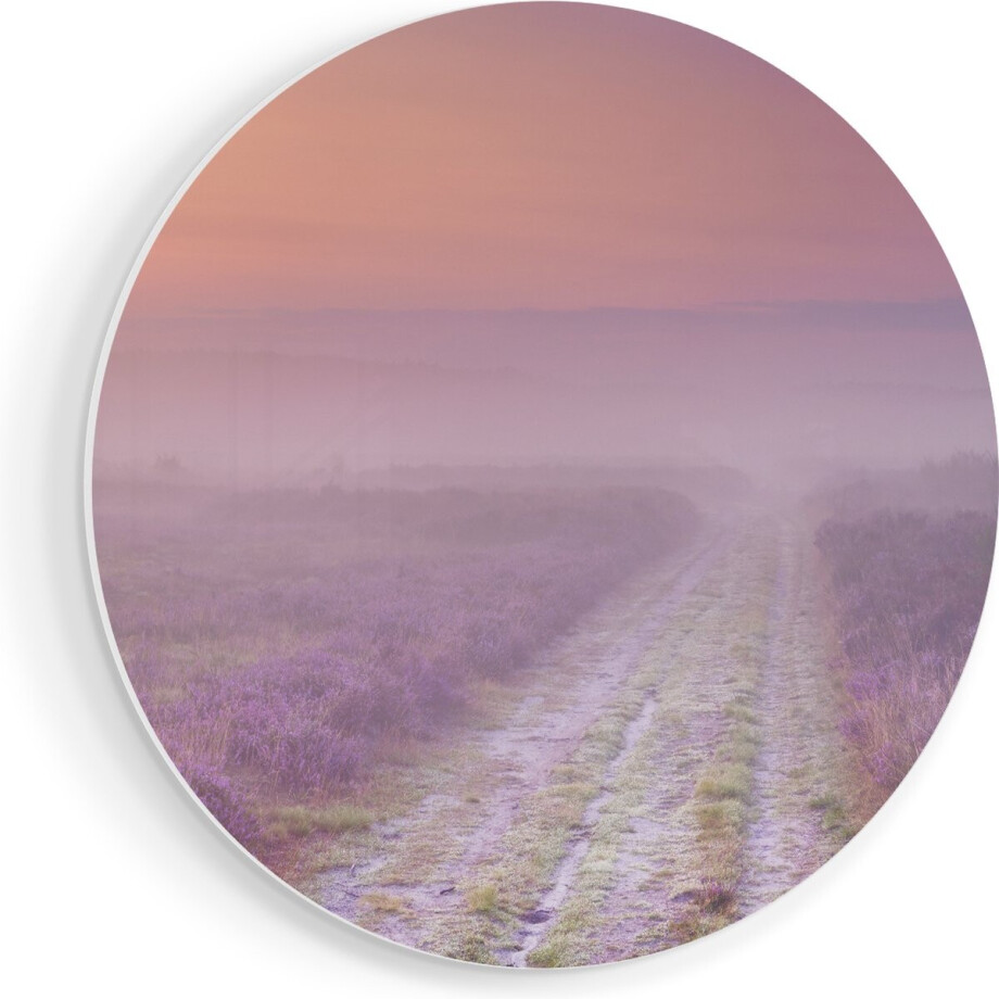 Artaza Forex Muurcirkel Pad in de Weide tijdens de Mist - 40x40 cm - Klein - Wandcirkel - Rond Schilderij - Wanddecoratie Cirkel afbeelding 1