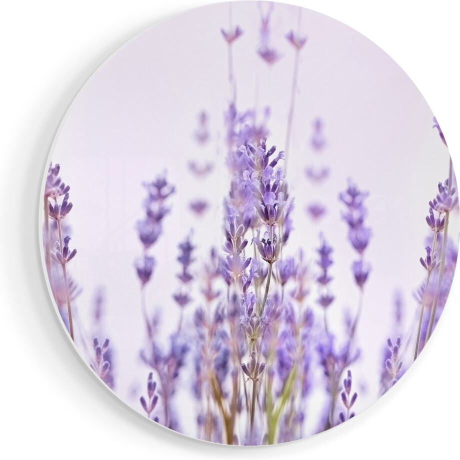 Artaza Forex Muurcirkel Paarse Lavendel Bloemen - 90x90 cm - Groot - Wandcirkel - Rond Schilderij - Muurdecoratie Cirkel afbeelding 1