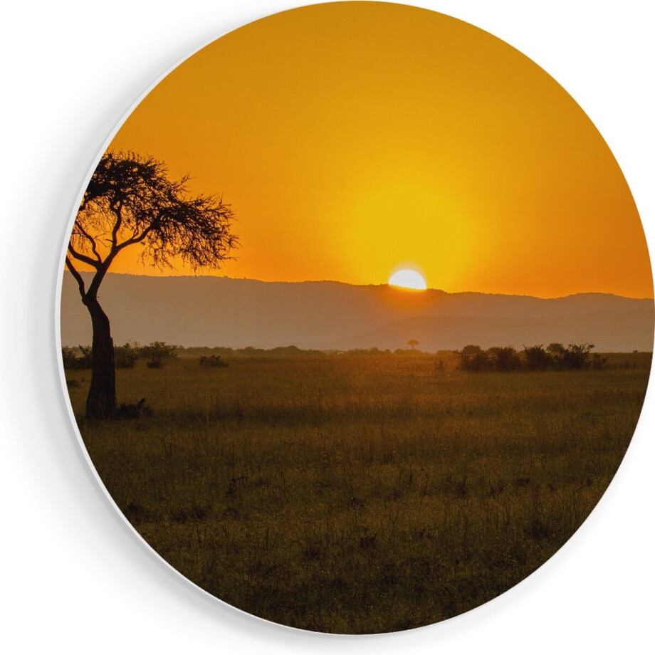 Artaza Forex Muurcirkel Zonsopgang In De Savanne Met Een Boom - 40x40 cm - Klein - Wandcirkel - Rond Schilderij - Wanddecoratie Cirkel afbeelding 1