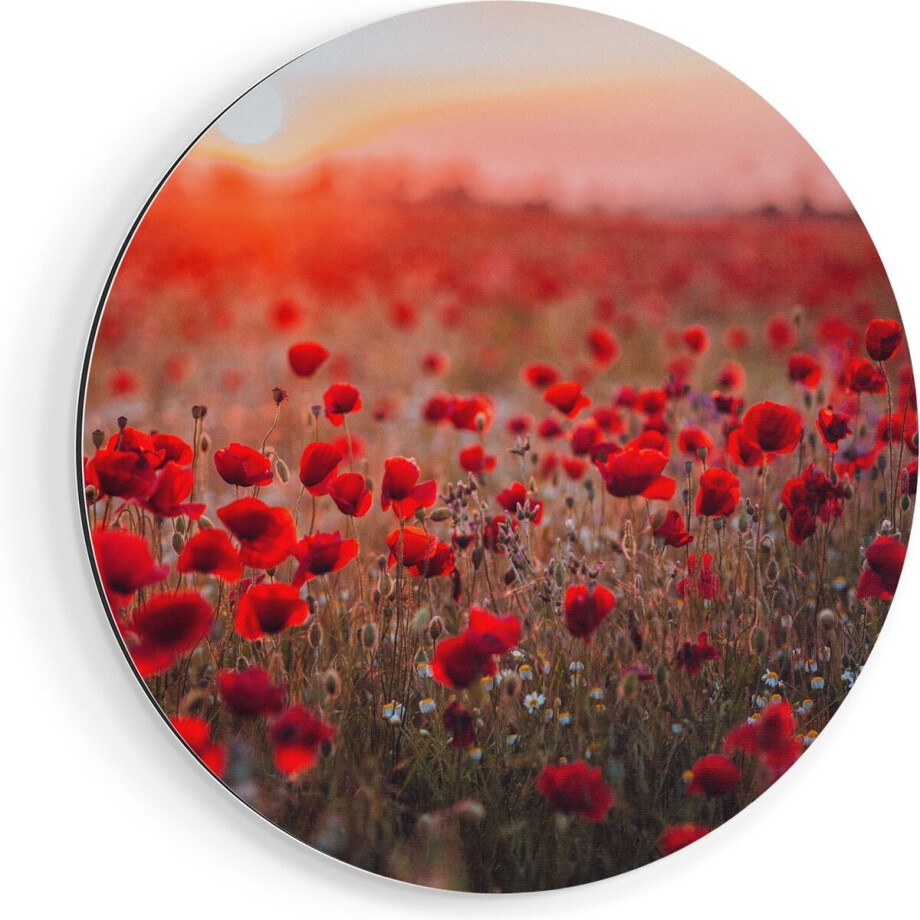 Artaza Dibond Muurcirkel Rode Klaprozen Bloemenveld Zonsondergang - Ø 90 cm - Groot - Wandcirkel - Rond Schilderij - Voor Binnen en Buiten afbeelding 1
