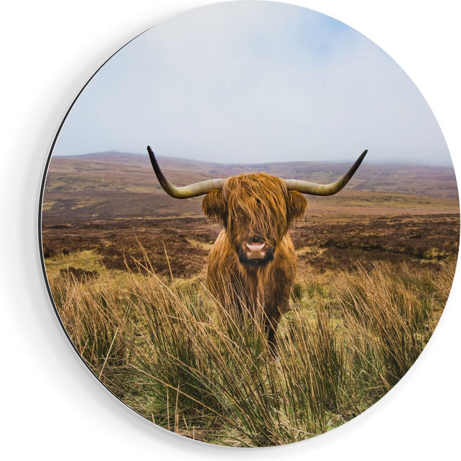 Artaza Dibond Muurcirkel Groen Bos Met Zonlicht - Ø 80 cm - Groot - Wandcirkel - Rond Schilderij - Voor Binnen en Buiten Artaza Dibond Muurcirkel Groen Bos Met Zonlicht - Ø 80 cm - Groot - Wandcirkel - Rond Schilderij - Voor Binnen en Buiten afbeelding 1