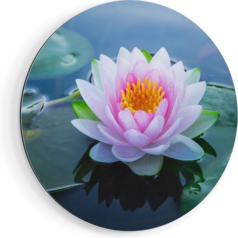 Artaza Dibond Muurcirkel Roze Lotusbloem Met Waterlelies  - Ø 40 cm - Klein - Wandcirkel - Rond Schilderij - Voor Binnen en Buiten afbeelding 1
