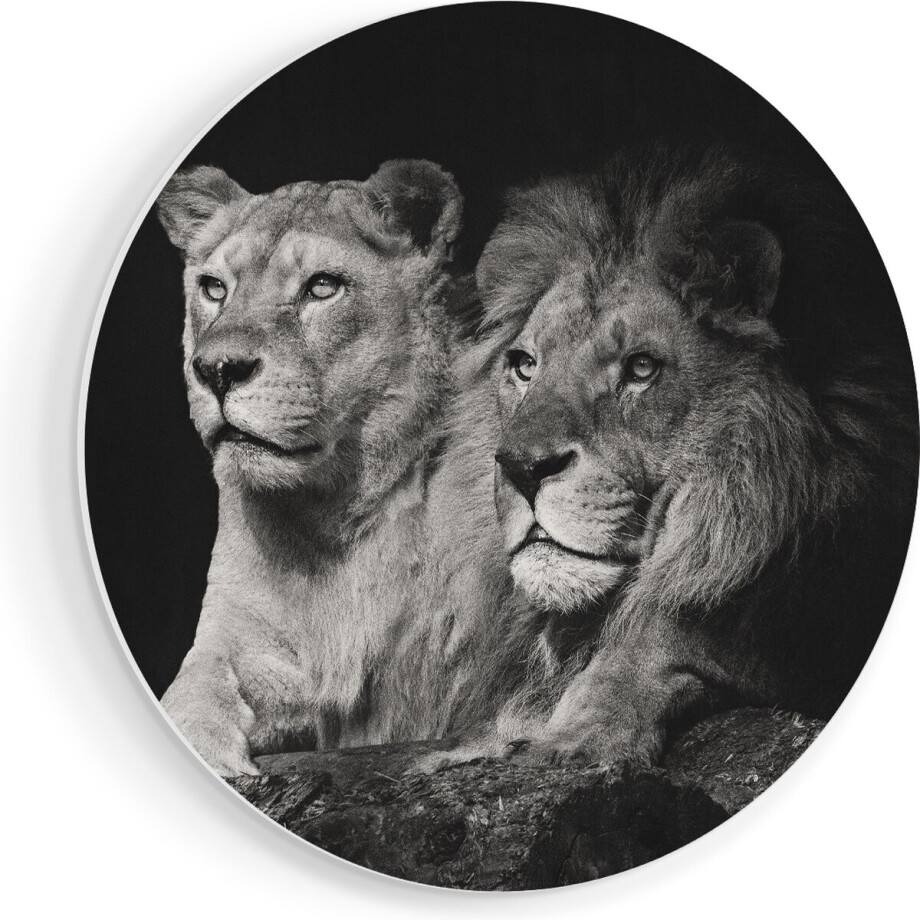 Artaza Forex Muurcirkel Leeuw En Leeuwin - Zwart Wit - 40x40 cm - Klein - Wandcirkel - Rond Schilderij - Wanddecoratie Cirkel afbeelding 1