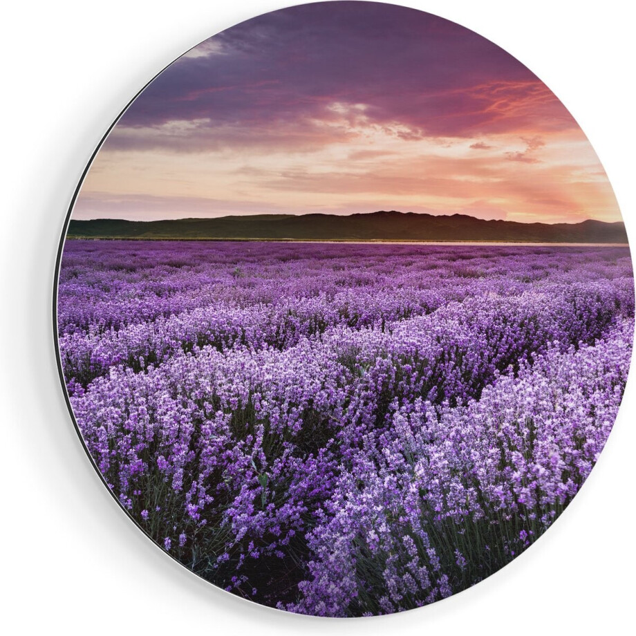 Artaza Dibond Muurcirkel Bloemenveld Met Paarse Lavendel - Bloemen - Ø 90 cm - Groot - Wandcirkel - Rond Schilderij - Voor Binnen en Buiten Artaza Dibond Muurcirkel Bloemenveld Met Paarse Lavendel - Bloemen - Ø 90 cm - Groot - Wandcirkel - Rond Schilderij - Voor Binnen en Buiten afbeelding 1