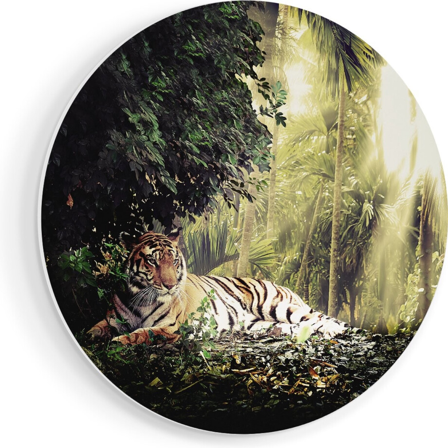 Artaza Forex Muurcirkel Tijger In De Jungle Met Zonneschijn - 50x50 cm - Klein - Wandcirkel - Rond Schilderij - Muurdecoratie Cirkel Artaza Forex Muurcirkel Tijger In De Jungle Met Zonneschijn - 50x50 cm - Klein - Wandcirkel - Rond Schilderij - Muurdecoratie Cirkel afbeelding 1