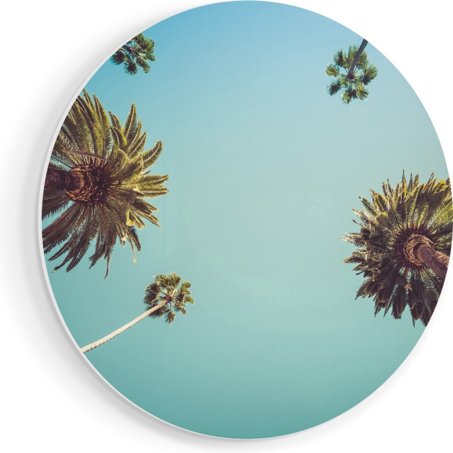 Artaza Forex Muurcirkel Palmbomen met Bladeren in de Lucht - 40x40 cm - Klein - Wandcirkel - Rond Schilderij - Wanddecoratie Cirkel afbeelding 1