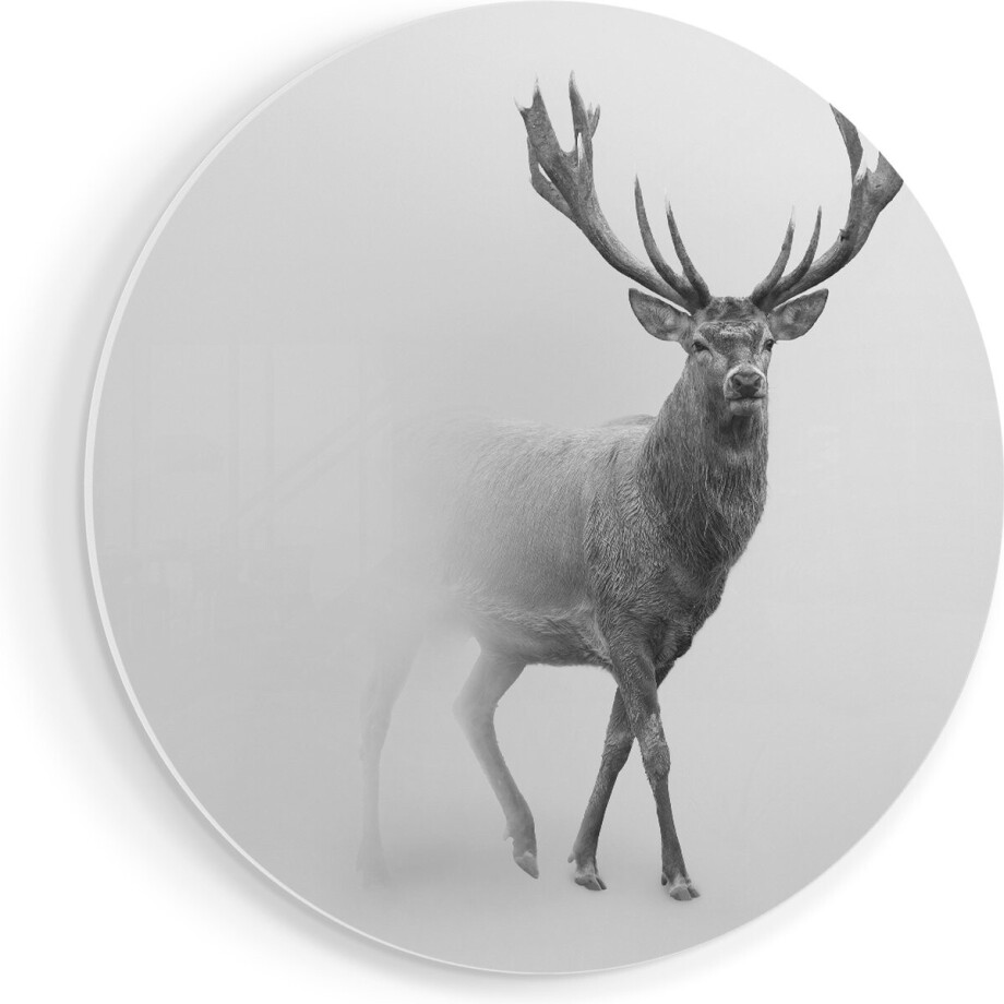Artaza Forex Muurcirkel Hert - Zwart Wit - 70x70 cm - Wandcirkel - Rond Schilderij - Wanddecoratie Cirkel - Muurdecoratie Artaza Forex Muurcirkel Hert - Zwart Wit - 70x70 cm - Wandcirkel - Rond Schilderij - Wanddecoratie Cirkel - Muurdecoratie afbeelding 1