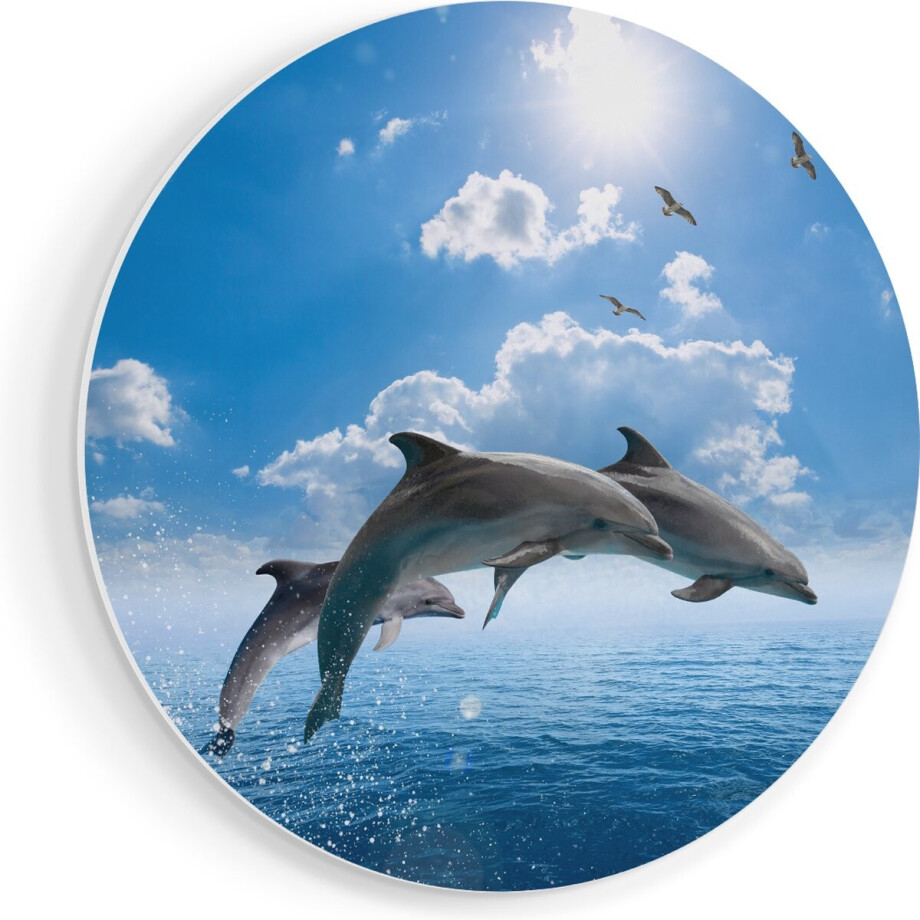 Artaza Forex Muurcirkel Dolfijnen Springen uit de Blauwe Zee - 50x50 cm - Klein - Wandcirkel - Rond Schilderij - Muurdecoratie Cirkel Artaza Forex Muurcirkel Dolfijnen Springen uit de Blauwe Zee - 50x50 cm - Klein - Wandcirkel - Rond Schilderij - Muurdecoratie Cirkel afbeelding 1