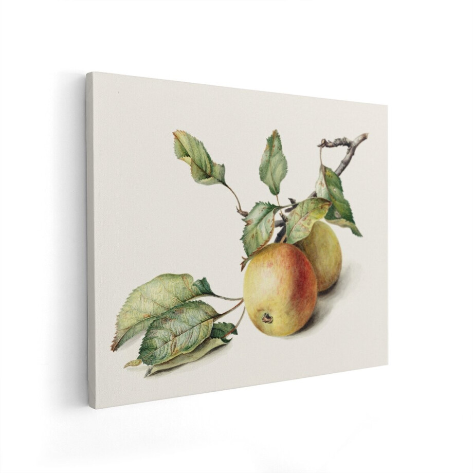 Artaza Canvas Schilderij Stilleven Appels - 50x40 cm - Wanddecoratie Fruit - Muurdecoratie Vintage - Botanisch Schilderij Aquarel afbeelding 1