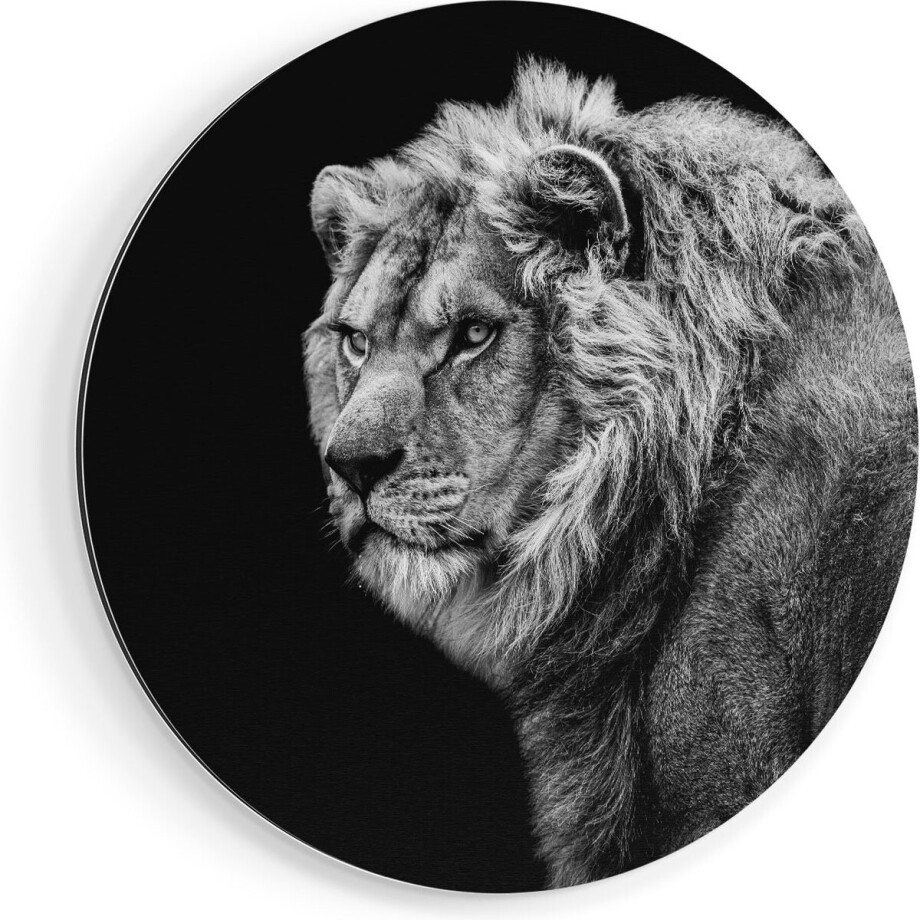 Artaza Dibond Muurcirkel Leeuw - Zwart Wit - Ø 80 cm - Groot - Wandcirkel - Rond Schilderij - Voor Binnen en Buiten afbeelding 1