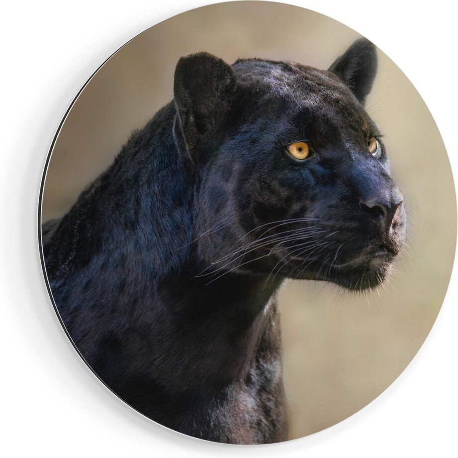 Artaza Dibond Muurcirkel Zwarte Panter Met Oranje Ogen - Ø 50 cm - Klein - Wandcirkel - Rond Schilderij - Voor Binnen en Buiten afbeelding 1
