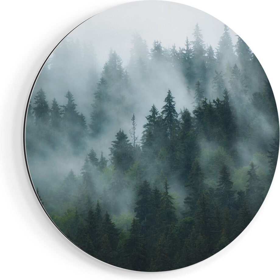 Artaza Dibond Muurcirkel Bos Met Bomen In De Mist - Ø 90 cm - Groot - Wandcirkel - Rond Schilderij - Voor Binnen en Buiten Artaza Dibond Muurcirkel Bos Met Bomen In De Mist - Ø 90 cm - Groot - Wandcirkel - Rond Schilderij - Voor Binnen en Buiten afbeelding 1