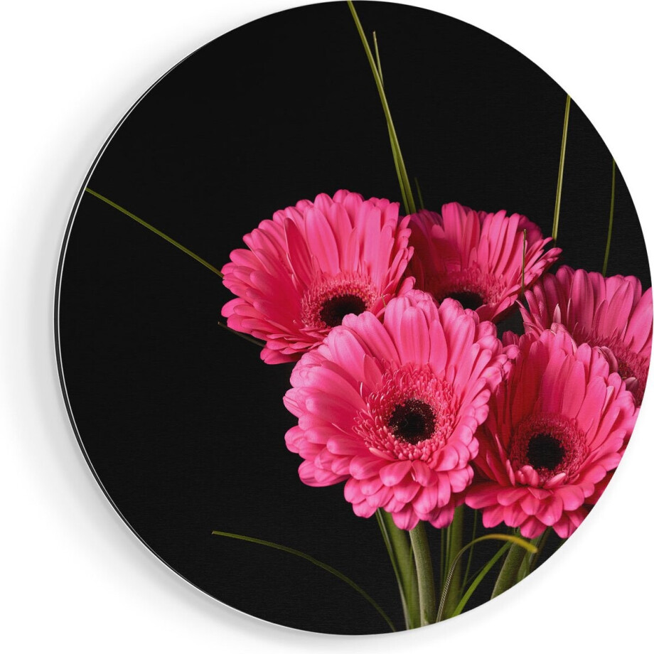 Artaza Dibond Muurcirkel Roze Gerbera Bloemen - Ø 90 cm - Groot - Wandcirkel - Rond Schilderij - Voor Binnen en Buiten afbeelding 1