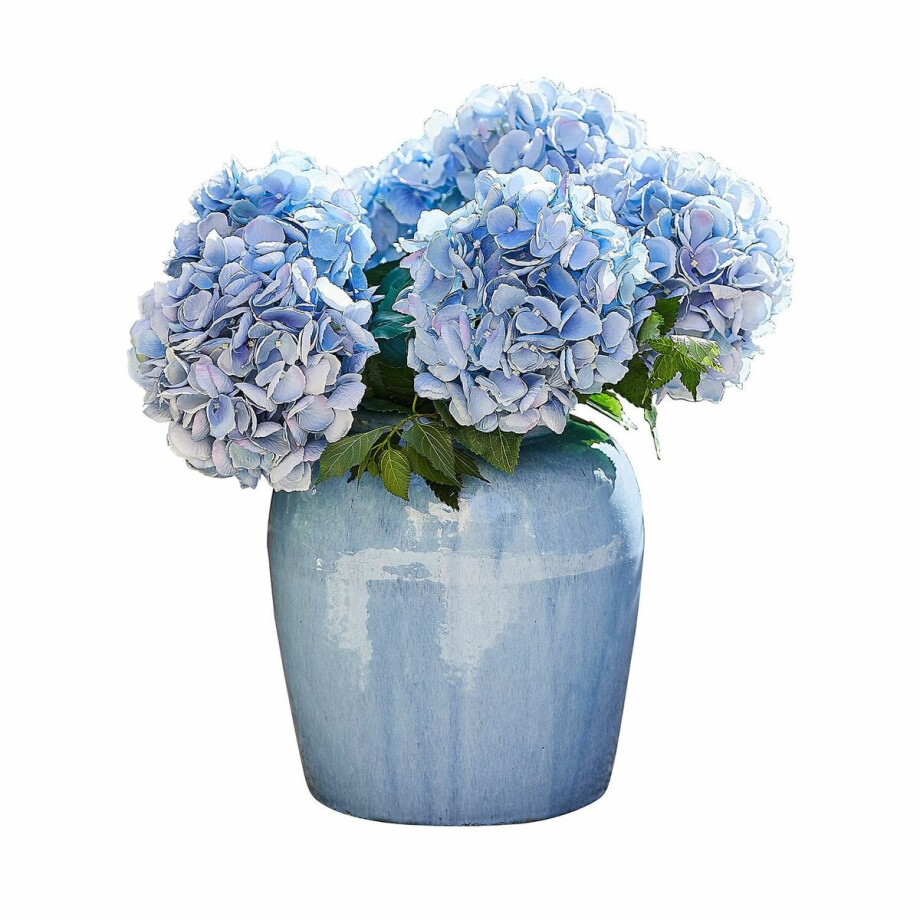 LOBERON Vaas Uxemir blauw afbeelding 1