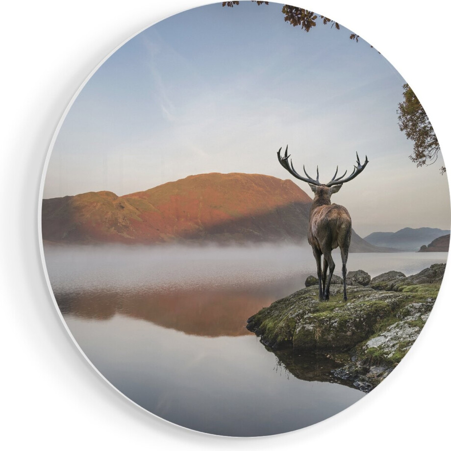 Artaza Forex Muurcirkel Hert Bij Een Meer - 70x70 cm - Wandcirkel - Rond Schilderij - Wanddecoratie Cirkel - Muurdecoratie Artaza Forex Muurcirkel Hert Bij Een Meer - 70x70 cm - Wandcirkel - Rond Schilderij - Wanddecoratie Cirkel - Muurdecoratie afbeelding 1
