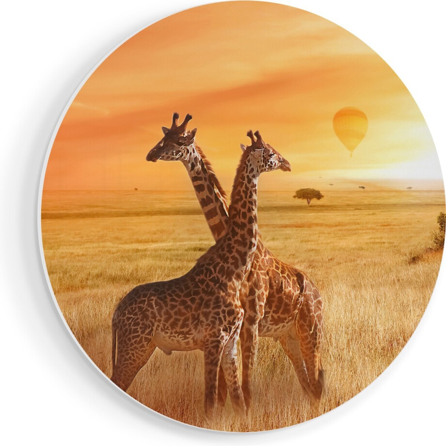Artaza Forex Muurcirkel Twee Giraffen Met Twee Oranje Luchtballonnen - 90x90 cm - Groot - Wandcirkel - Rond Schilderij - Muurdecoratie Cirkel Artaza Forex Muurcirkel Twee Giraffen Met Twee Oranje Luchtballonnen - 90x90 cm - Groot - Wandcirkel - Rond Schilderij - Muurdecoratie Cirkel afbeelding 1