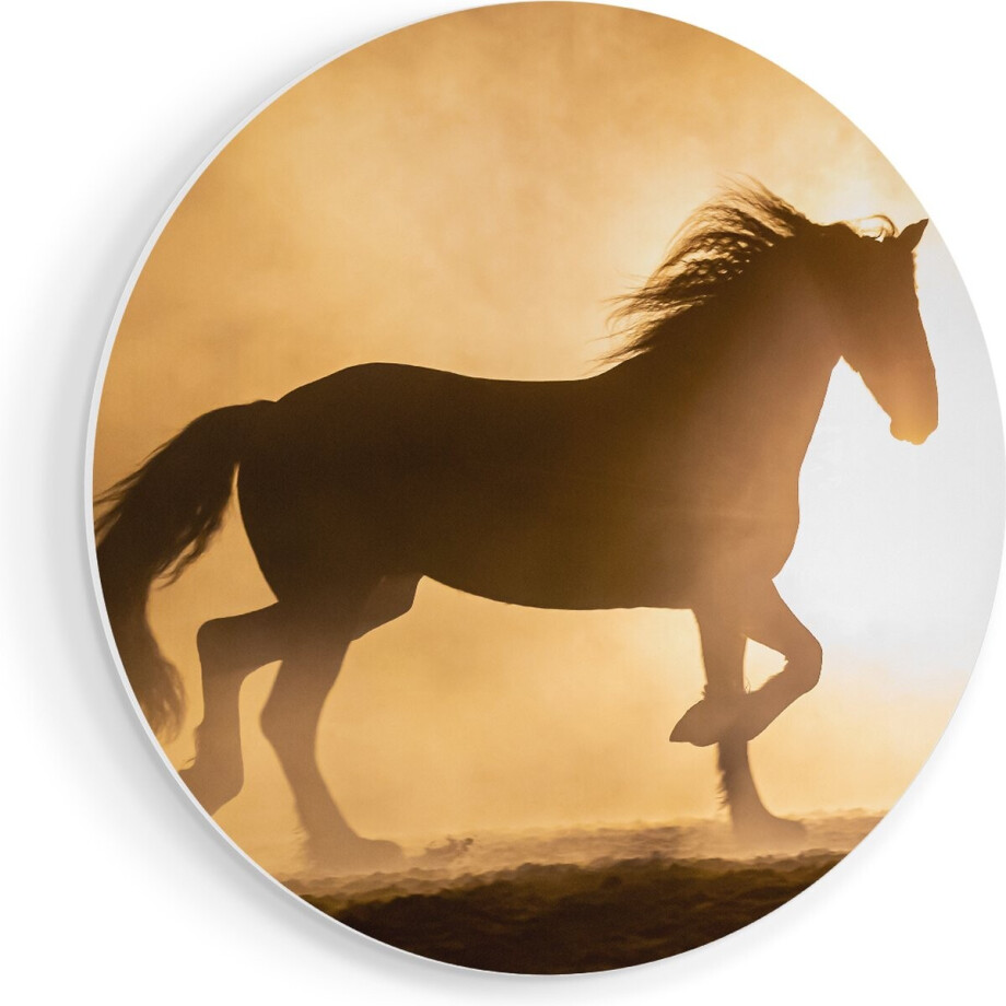 Artaza Forex Muurcirkel Silhouet Van Een Paard - 40x40 cm - Klein - Wandcirkel - Rond Schilderij - Wanddecoratie Cirkel afbeelding 1