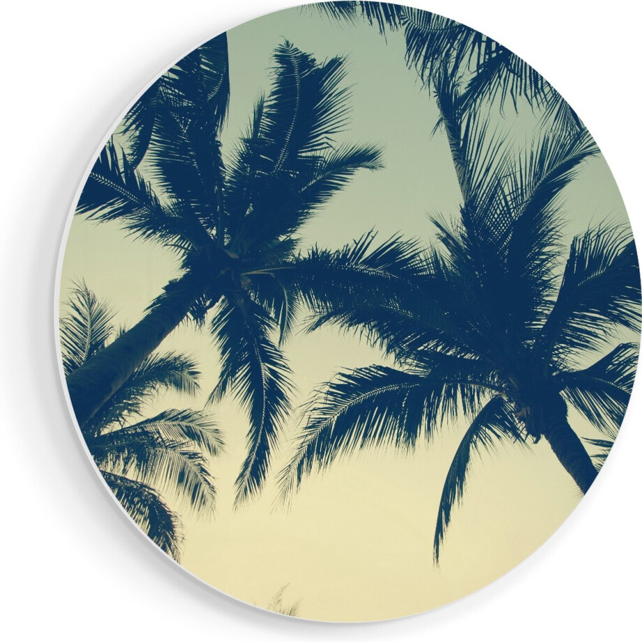 Artaza Forex Muurcirkel Palmbomen Bladeren - 70x70 cm - Wandcirkel - Rond Schilderij - Wanddecoratie Cirkel - Muurdecoratie afbeelding 1