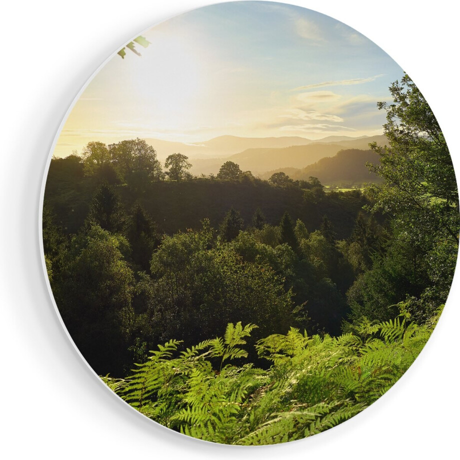 Artaza Forex Muurcirkel Zonsondergang Vanuit Een Bos - 50x50 cm - Klein - Wandcirkel - Rond Schilderij - Muurdecoratie Cirkel afbeelding 1
