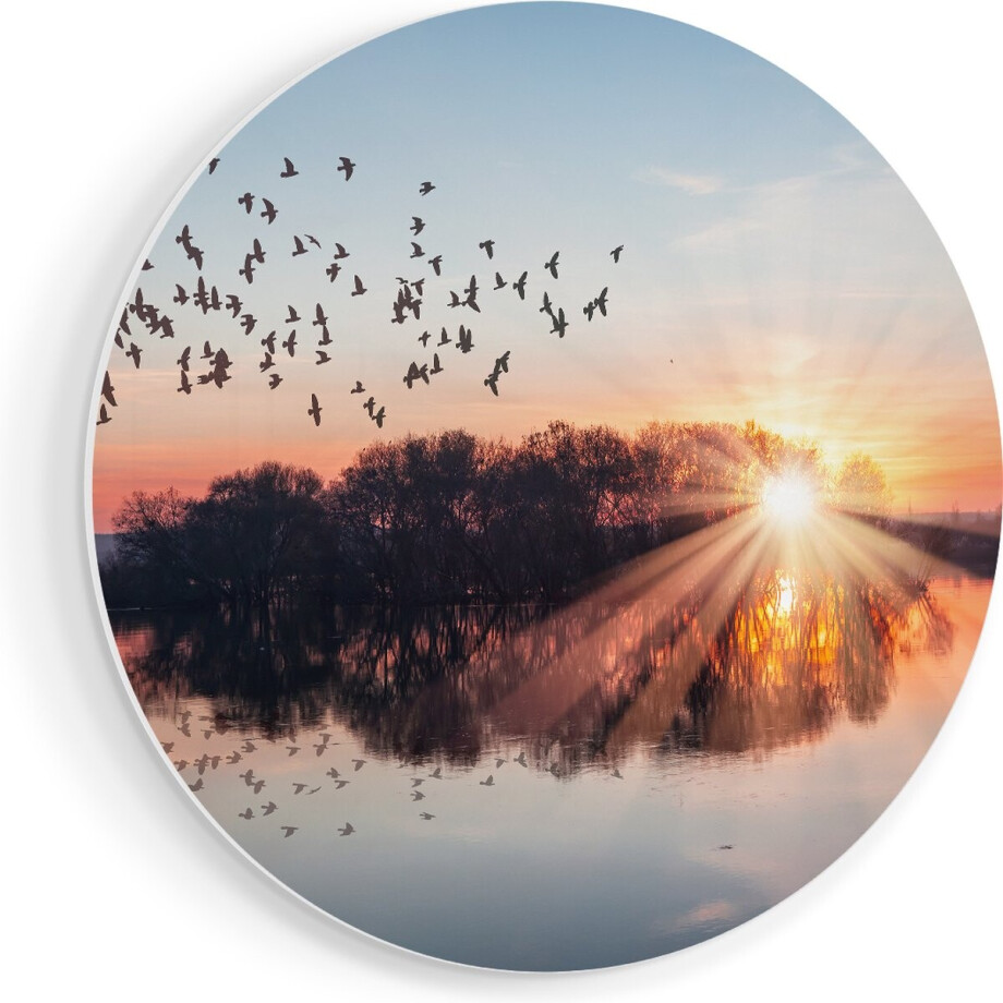 Artaza Forex Muurcirkel Groep Vogels Boven De Meer Met Zonsondergang - 90x90 cm - Groot - Wandcirkel - Rond Schilderij - Muurdecoratie Cirkel Artaza Forex Muurcirkel Groep Vogels Boven De Meer Met Zonsondergang - 90x90 cm - Groot - Wandcirkel - Rond Schilderij - Muurdecoratie Cirkel afbeelding 1
