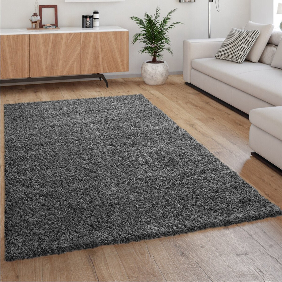 Paco Home Hoogpolig Vloerkleed, Shaggy Voor Woonkamer, Zacht Pluizig Bestendig Sterk 60x100 cm Paco Home Hoogpolig Vloerkleed, Shaggy Voor Woonkamer, Zacht Pluizig Bestendig Sterk 60x100 cm afbeelding 1