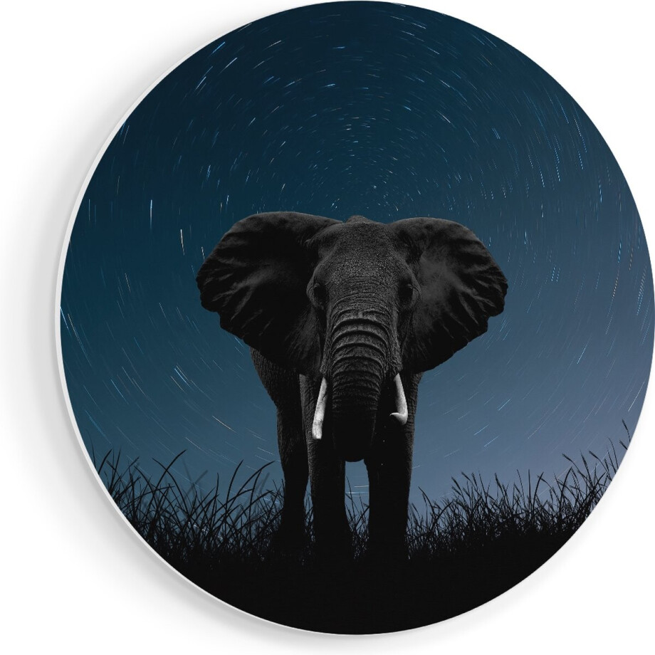 Artaza Forex Muurcirkel Olifant Omringd Met Sterren - 40x40 cm - Klein - Wandcirkel - Rond Schilderij - Wanddecoratie Cirkel afbeelding 1