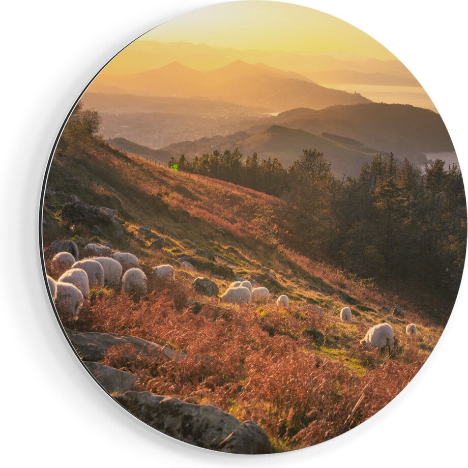 Artaza Dibond Muurcirkel Schapen in de Bergen - Ø 60 cm - Wandcirkel - Rond Schilderij - Voor Binnen en Buiten Artaza Dibond Muurcirkel Schapen in de Bergen - Ø 60 cm - Wandcirkel - Rond Schilderij - Voor Binnen en Buiten afbeelding 1