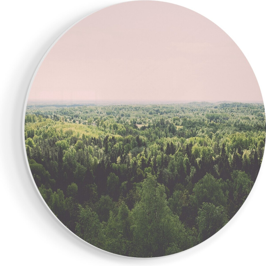 Artaza Forex Muurcirkel Eindeloze Bos Met Groene Bomen - 40x40 cm - Klein - Wandcirkel - Rond Schilderij - Wanddecoratie Cirkel afbeelding 1