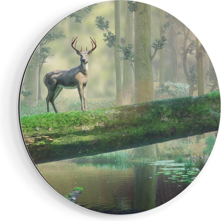 Artaza Dibond Muurcirkel Hert In Het Bos Op Een Boom - Ø 60 cm - Wandcirkel - Rond Schilderij - Voor Binnen en Buiten afbeelding 1