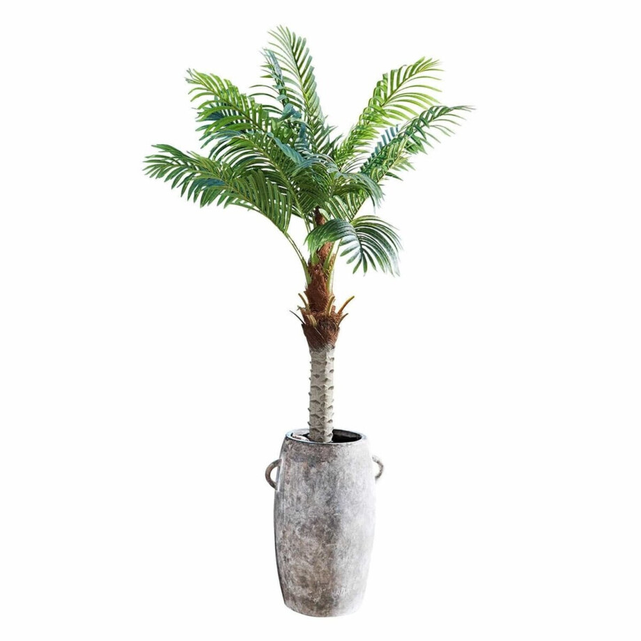LOBERON Decoratieve potplant Zephyriel groen afbeelding 1