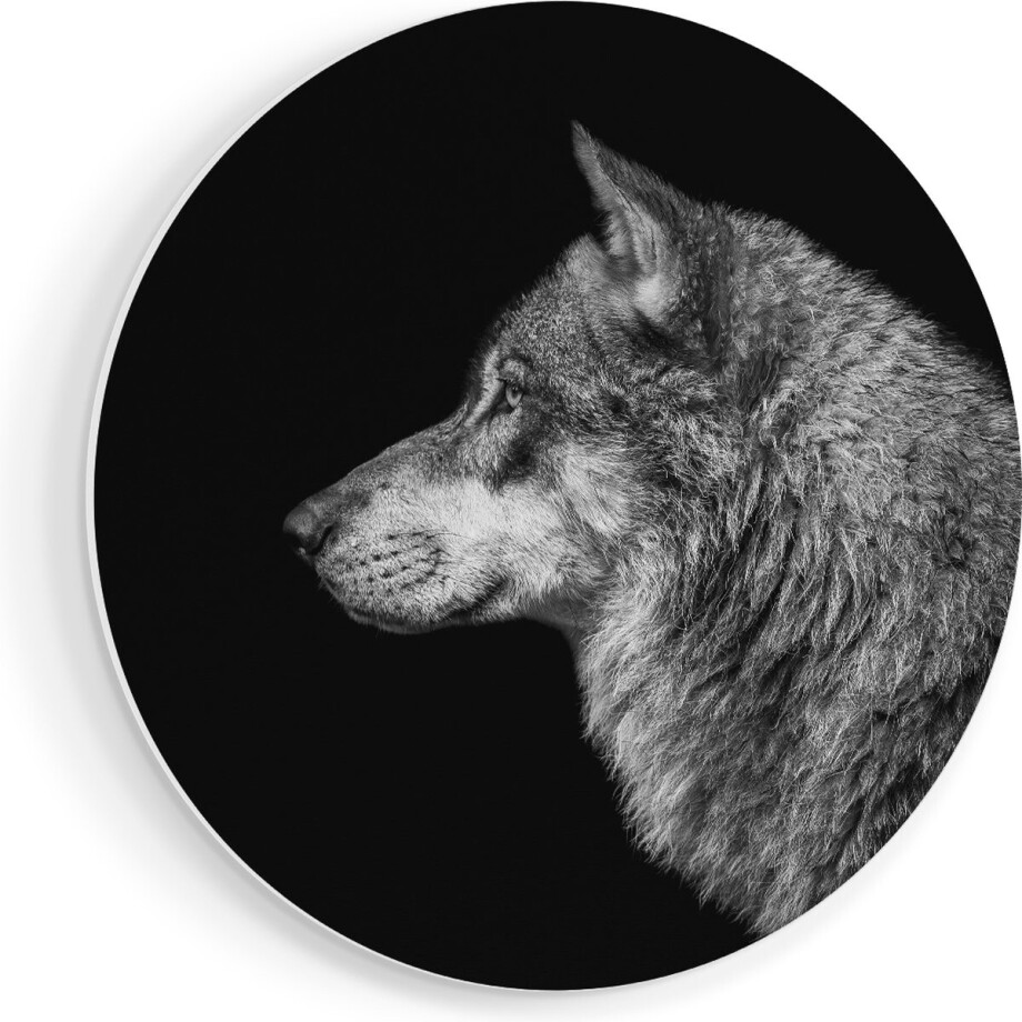 Artaza Forex Muurcirkel Wolvenkop - Wolf - Zwart Wit - 40x40 cm - Klein - Wandcirkel - Rond Schilderij - Wanddecoratie Cirkel Artaza Forex Muurcirkel Wolvenkop - Wolf - Zwart Wit - 40x40 cm - Klein - Wandcirkel - Rond Schilderij - Wanddecoratie Cirkel afbeelding 1