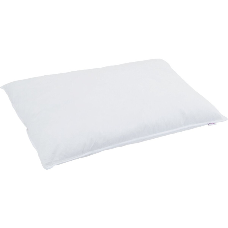vidaXL - Winter - Duvet - met - kussen - 2 - st - Wit - Donsveer afbeelding 1